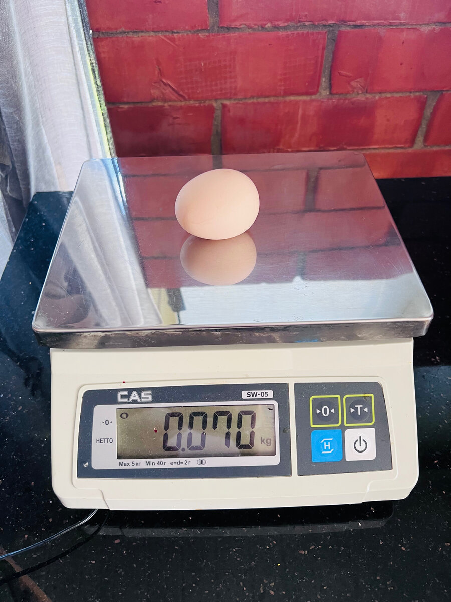 Яйцо от курицы мясо-яичной породы «Мастер Грэй»