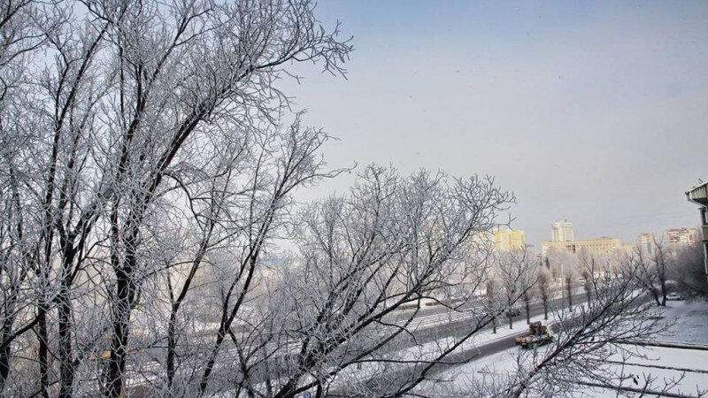     Зима. Иней. Рябина. Михаил Хаустов