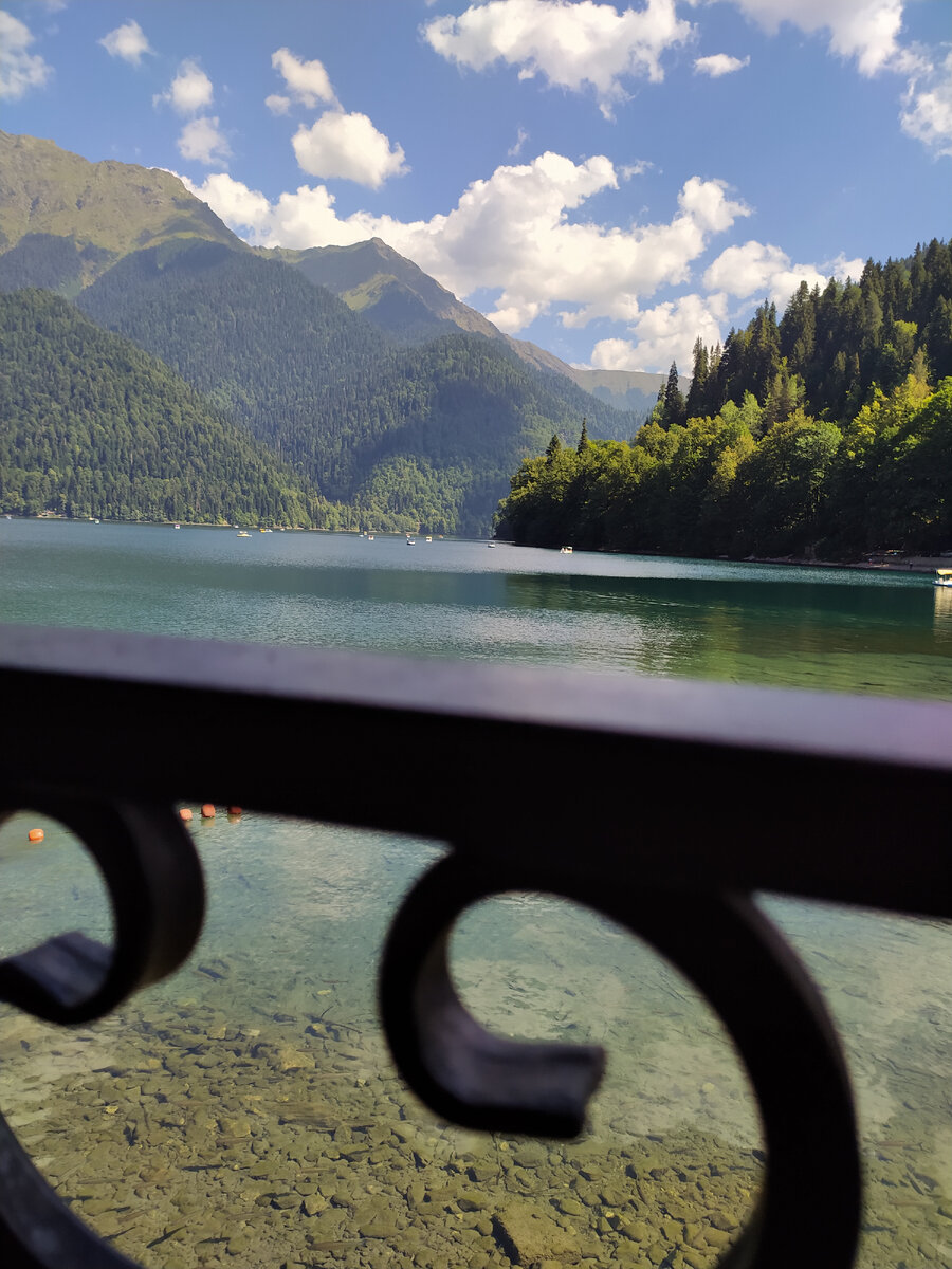 Озеро Рица. Рыбки у кафе.