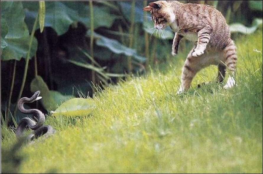 Фото из интеренета