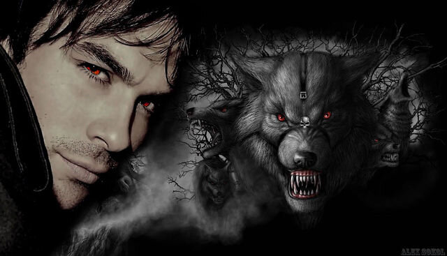 Яндекс картинки