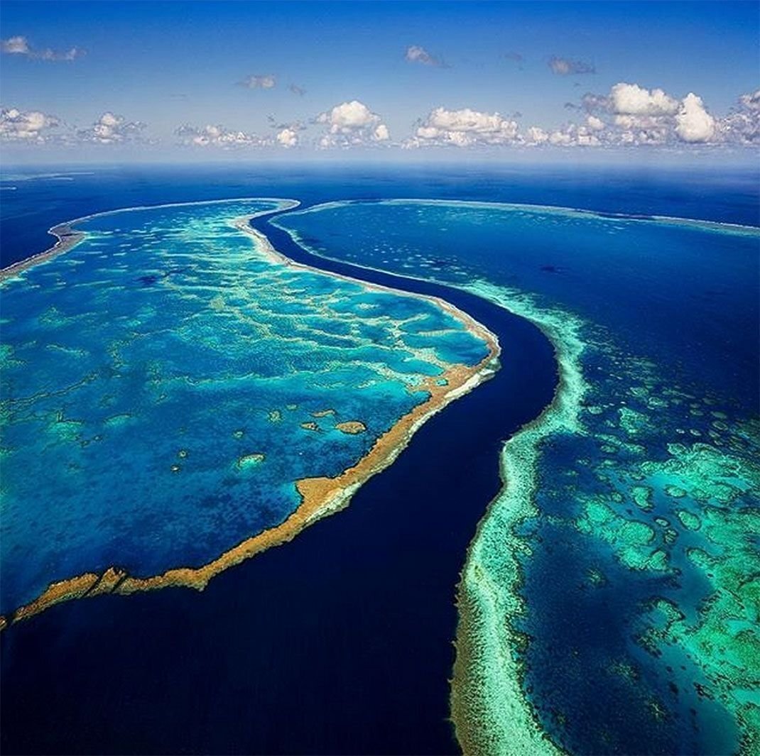 барьерный риф в австралии
