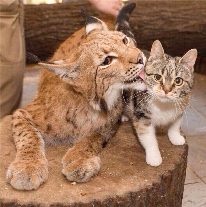 Фото: m.123ru.net