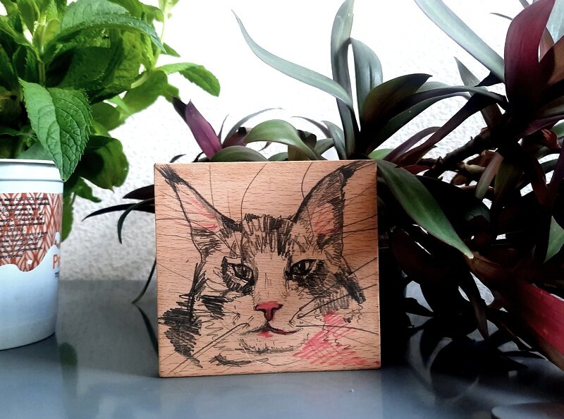 фото для красоты, к статье не относится (котика я нарисовала)