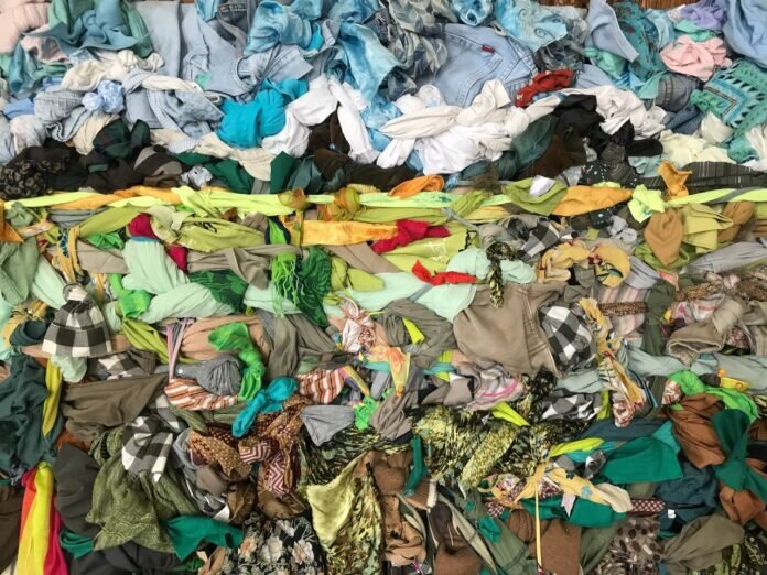 Выставка Варвары Гранковой «Цветы и трава», галерея «Алиса». 2022 год.