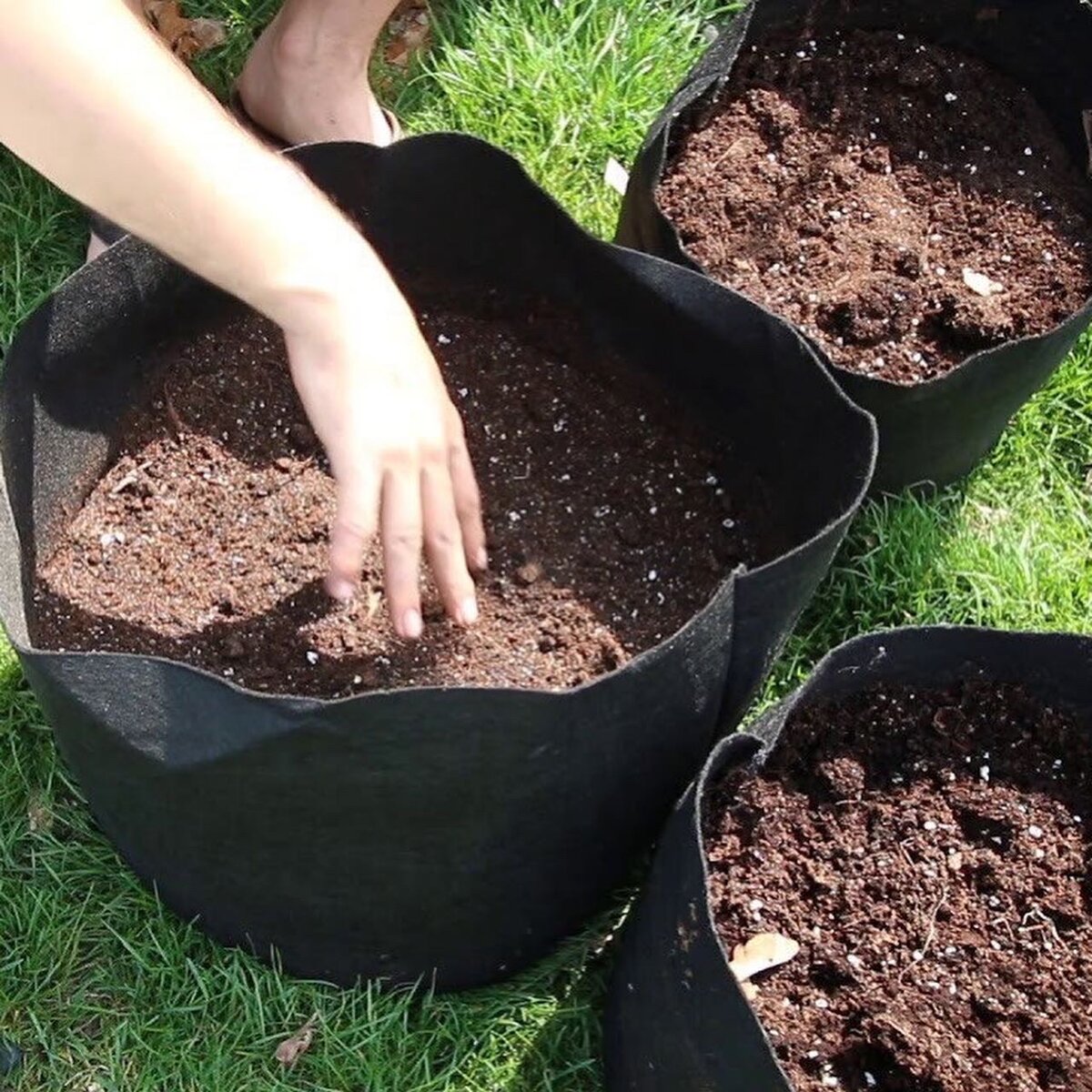 Что такое «гроубэг» и в чем его преимущества? | Ландшафтная мастерская ...