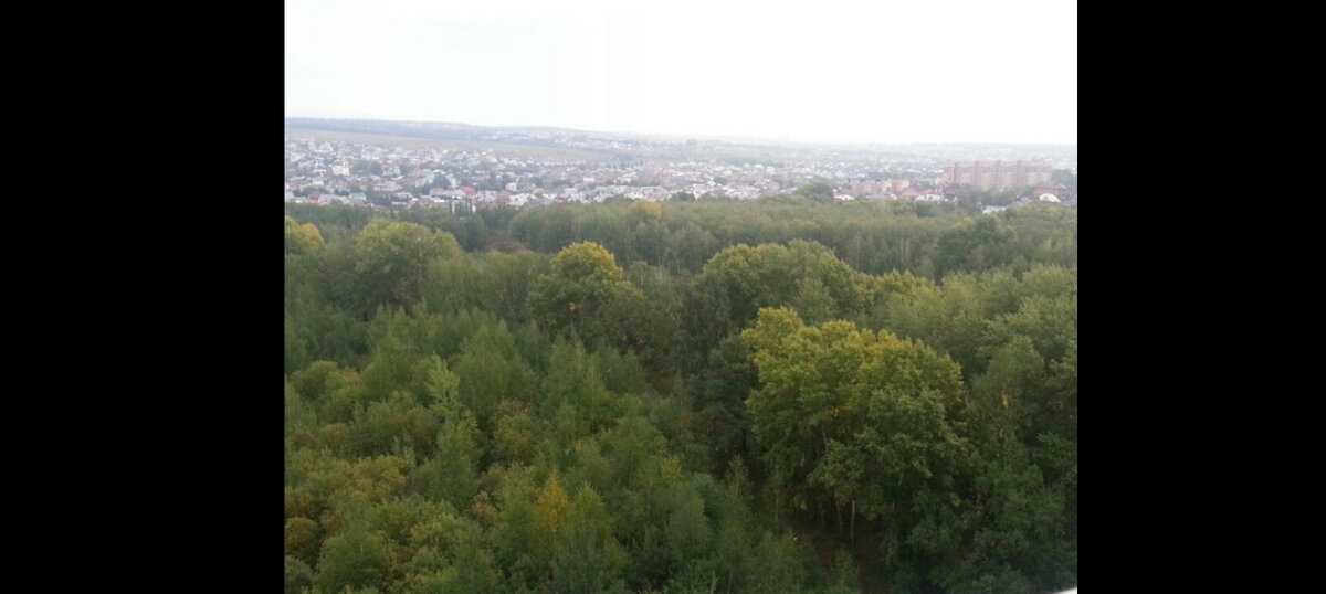 Казань Ноксинский Лес Сентябрь 2013