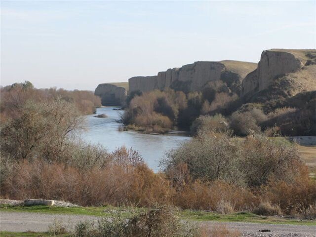 Фото из интернета.