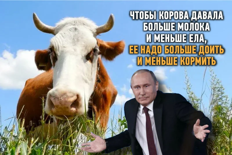 Добавьте описание