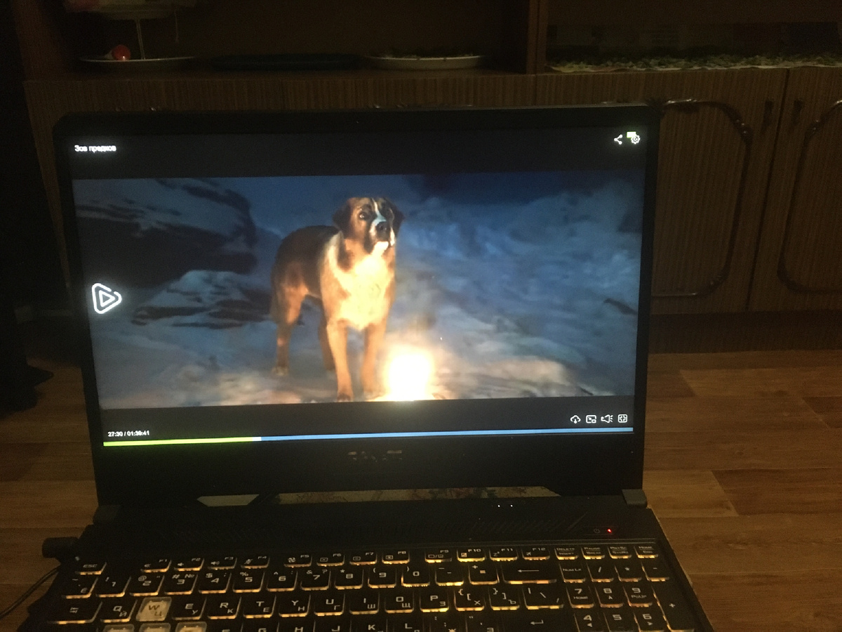 Фильм: Зов предков (2020 г.)