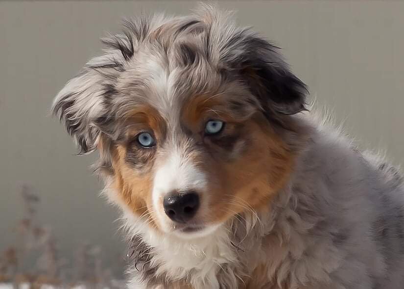 Мия когда была еще совсем крошкой