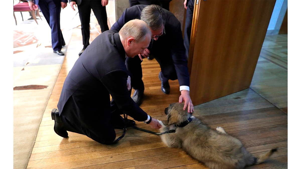 ÐÐ²ÑÐ°ÑÐºÐ° ÐÐ°ÑÐ°