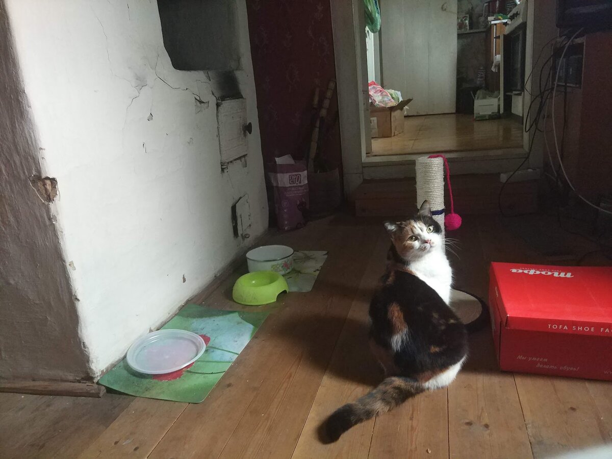 Какая ирония судьбы...