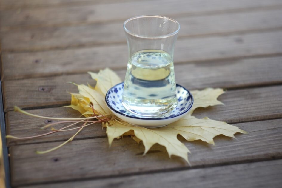 Чай по-турецки в Ботаническом саду Алма-Аты. Фотография Ольги Никандровой. К тексту отношения почти не имеет.