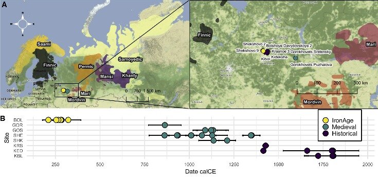   Sanni Peltola et al. / Current Biology, 2022
