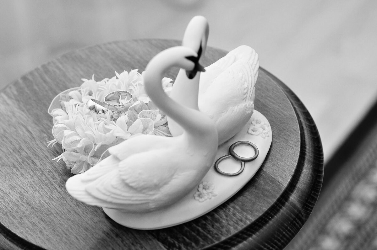 Все права на фото принадлежат Алле Львовой. Все права  на  рассказ принадлежат автору. Запрещается копирование, распространение или любое иное использование информации и объектов авторского права без предварительного согласия правообладателя