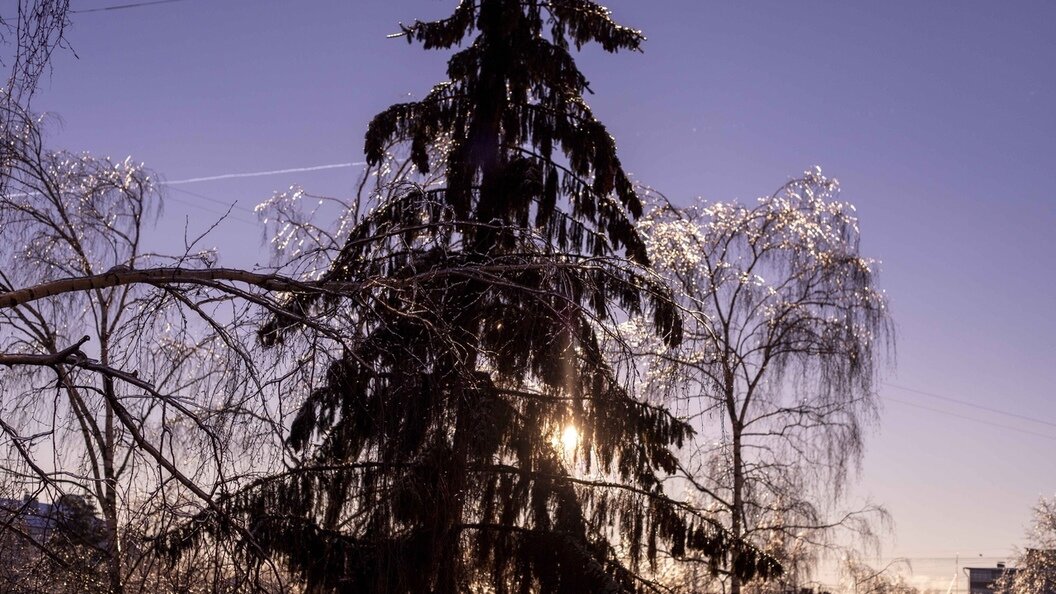    Фото: globallookpress.com