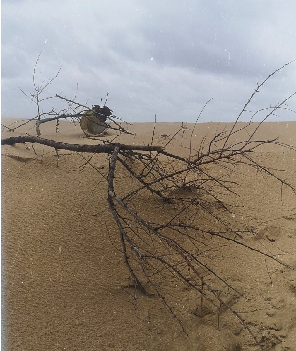 Дюны Джемете