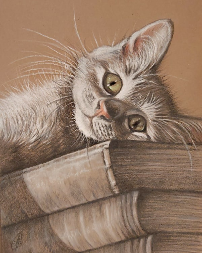 Источник изображения: https://vk.com/id5973829