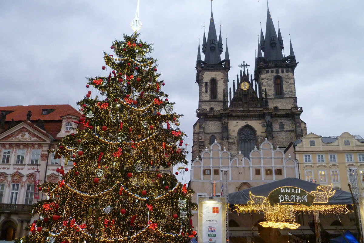 Фото автора. Елка на староместской площади