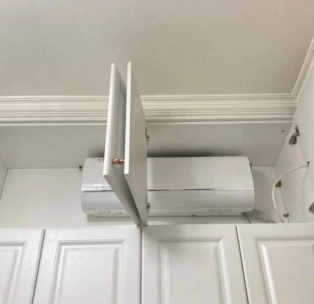 Fuzzy_Worldliness_96 / Reddit📷
