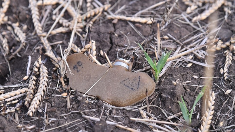   РИА Новости Виктор Антонюк