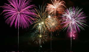    Фото: winallos.com Наталья Усова