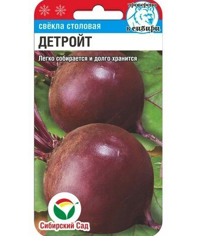 Свёкла Детройт. Скрин фото автора