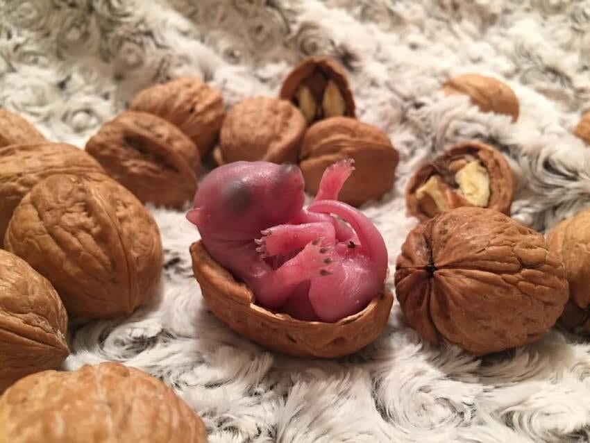 -2