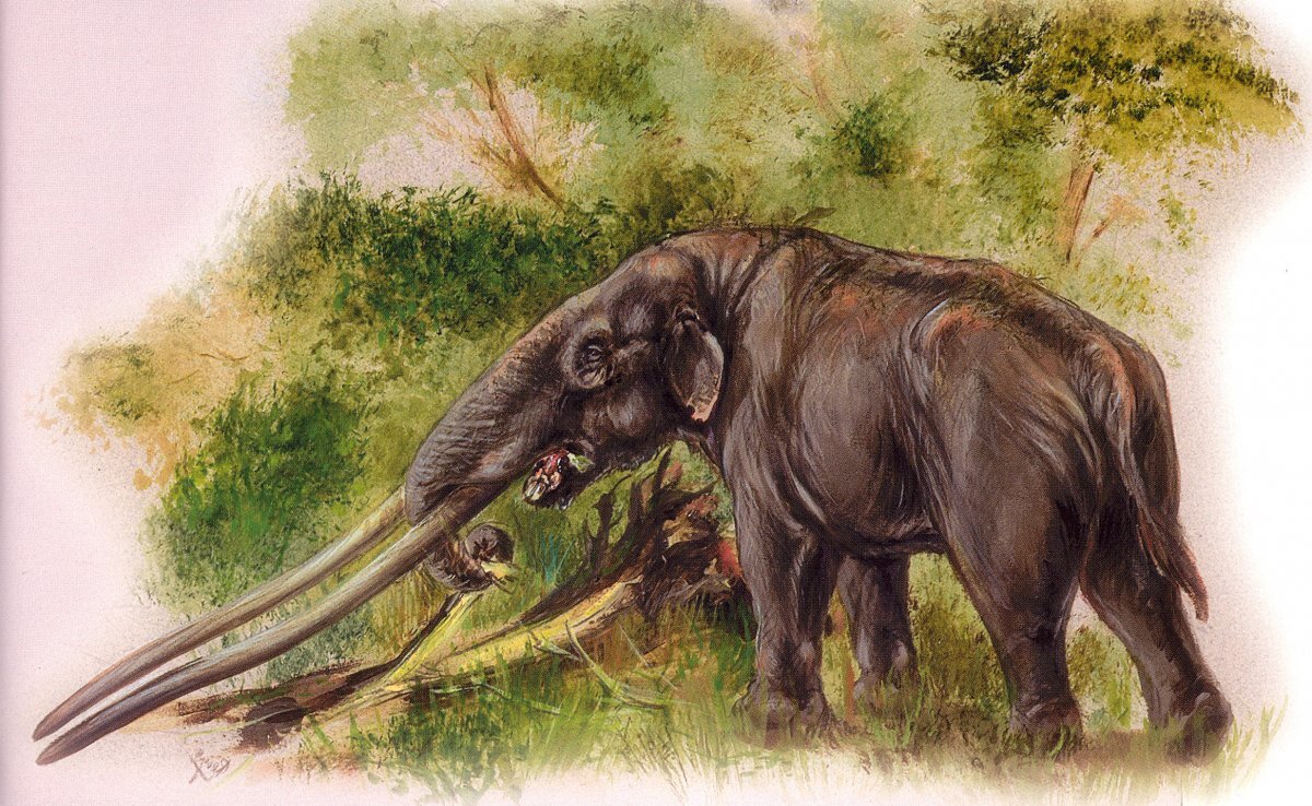 Фу! Что за отраву подают в этой столовке?