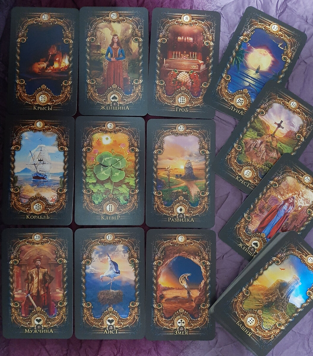 Фото автора. Расклад