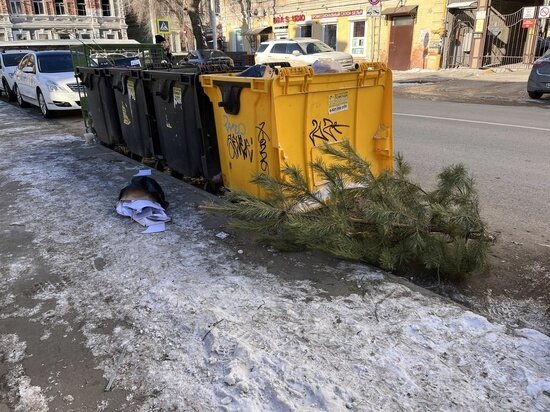     Выбросили елку. Фото: saratov.mk.ru "МК в Саратове"