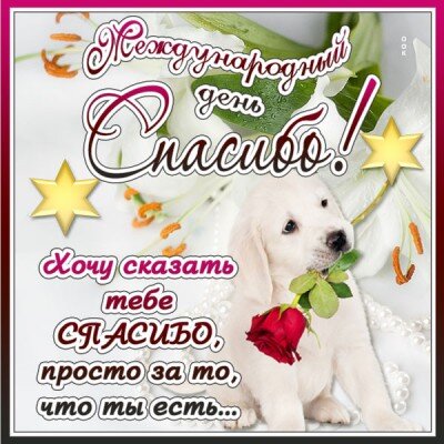 Поздравление с днём Спасибо в прозе