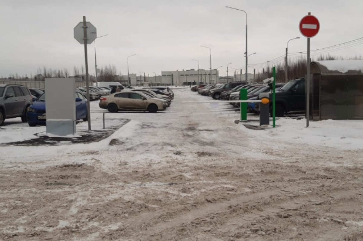    У станции метро «Шушары» открыли перехватывающую парковку на 187 мест