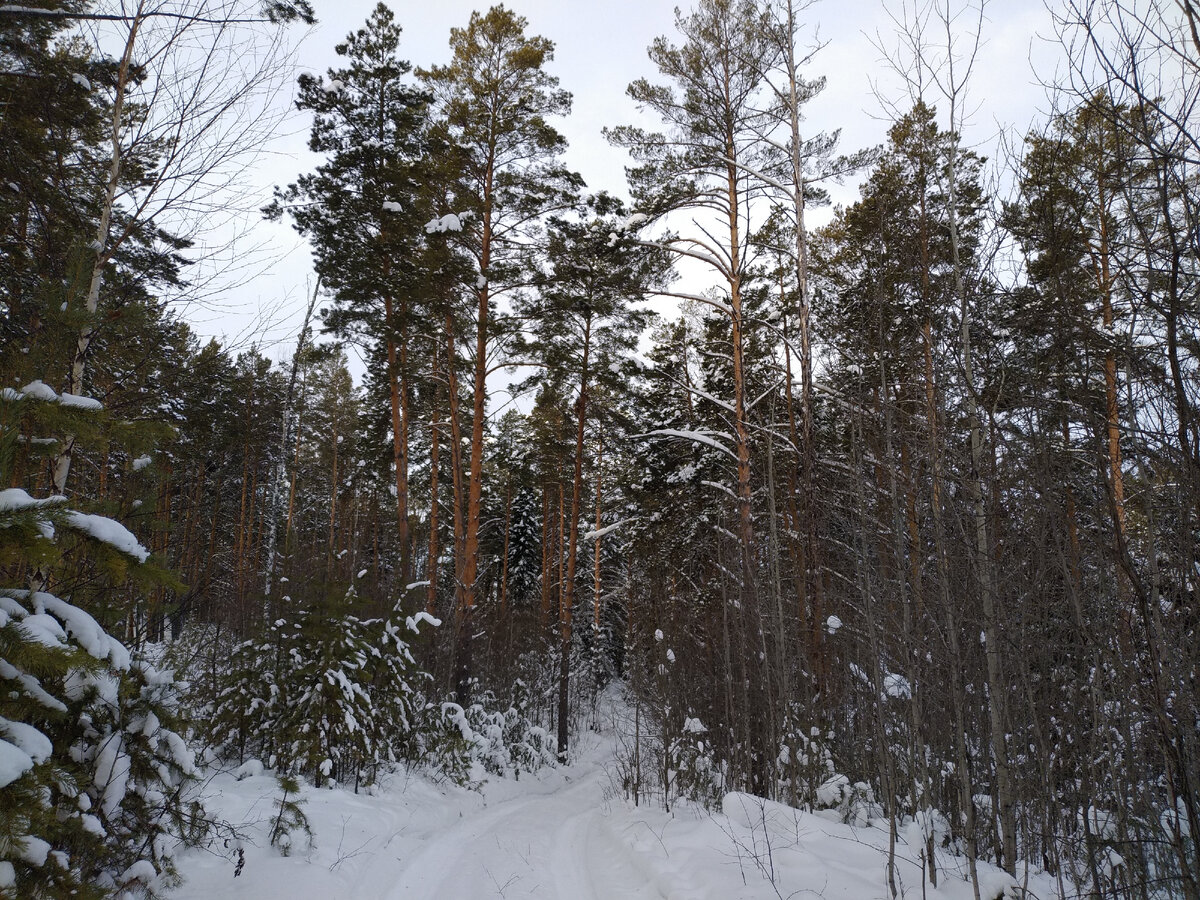 Фотографии автора