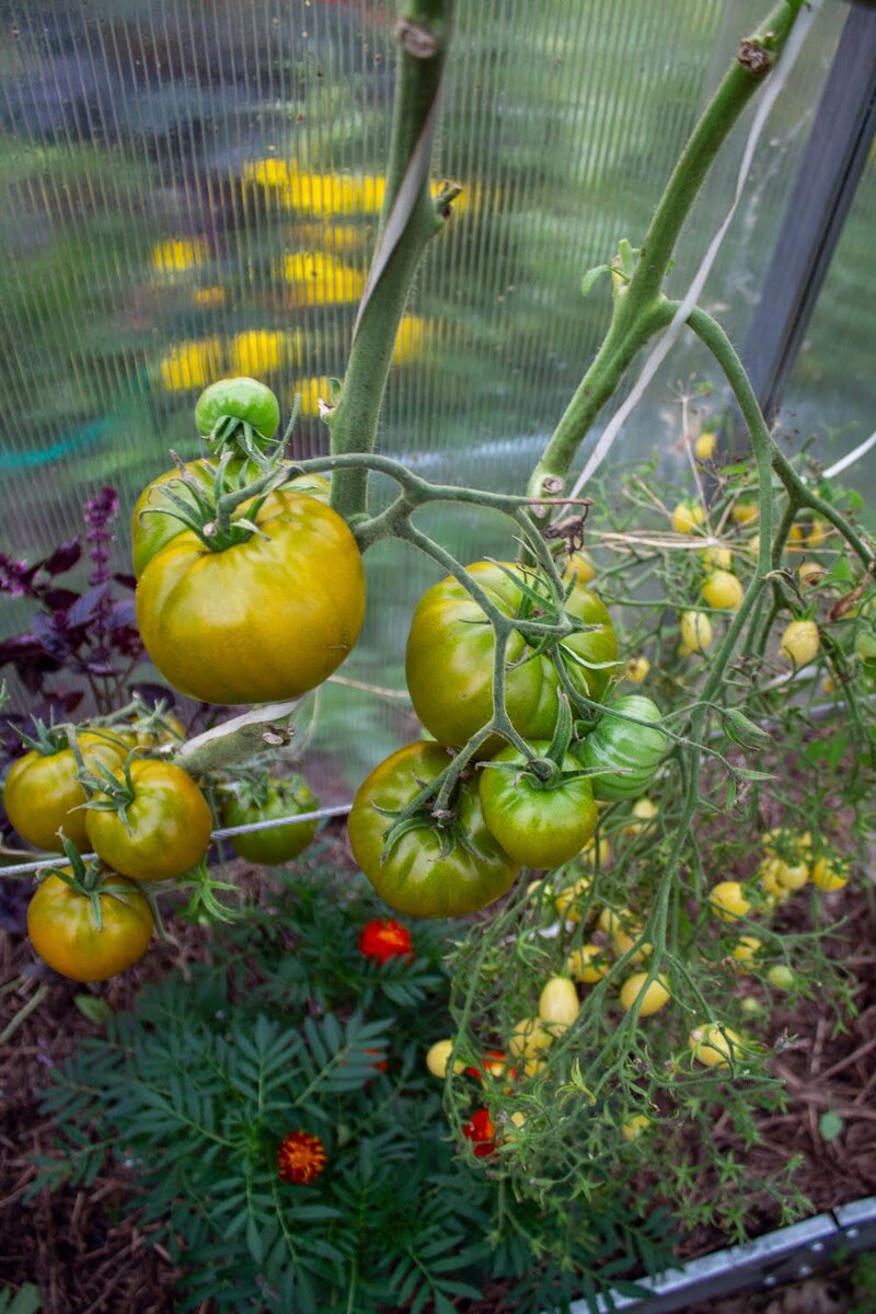 Ирландский ликер