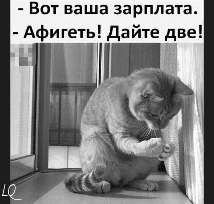 иллюстрация из яндекс картинки.