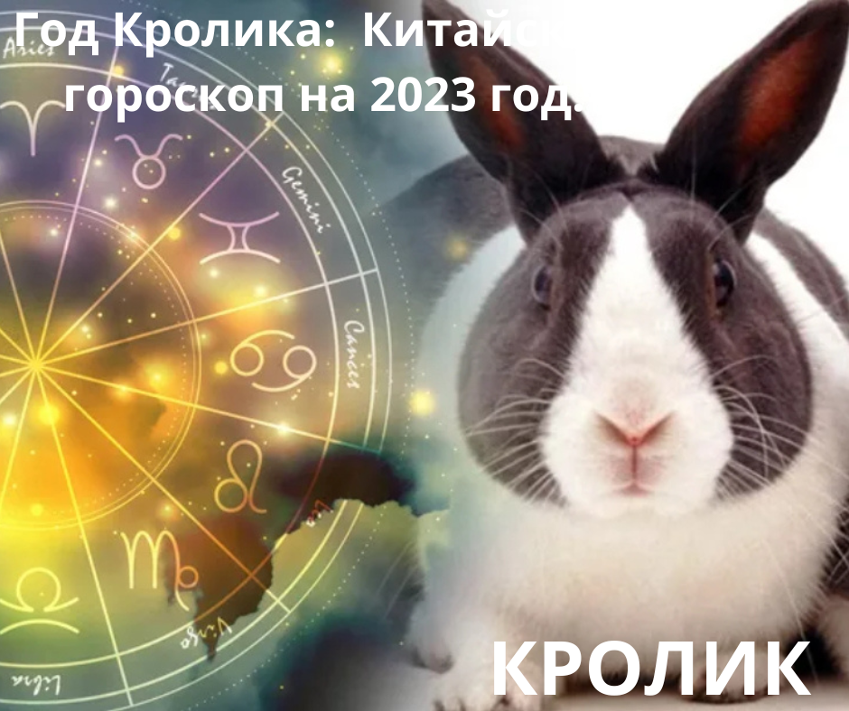 Год кролика знакам зодиака