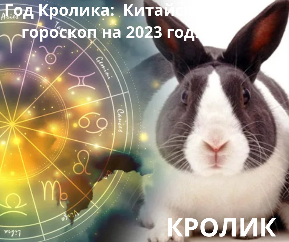 Новый 2023г