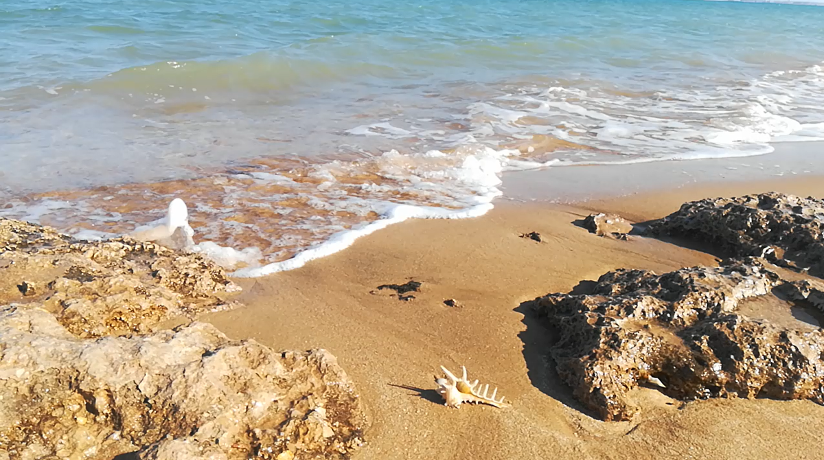 Здравствуйте, дорогие друзья! 
Очень рада вновь видеть ваши сердечки и комментарии, чувствовать ваше присутствие рядом!
Буду постепенно выкладывать всё то, что записала за предыдущий месяц.
Вы заметите, что большинство бесед носят личный характер, но вы помните, что все мы - часть Единого, поэтому в любом из них вы найдёте что-то для себя полезное, что вызовет резонанс, ответный импульс или даст ответ на когда-то мучающий вопрос.