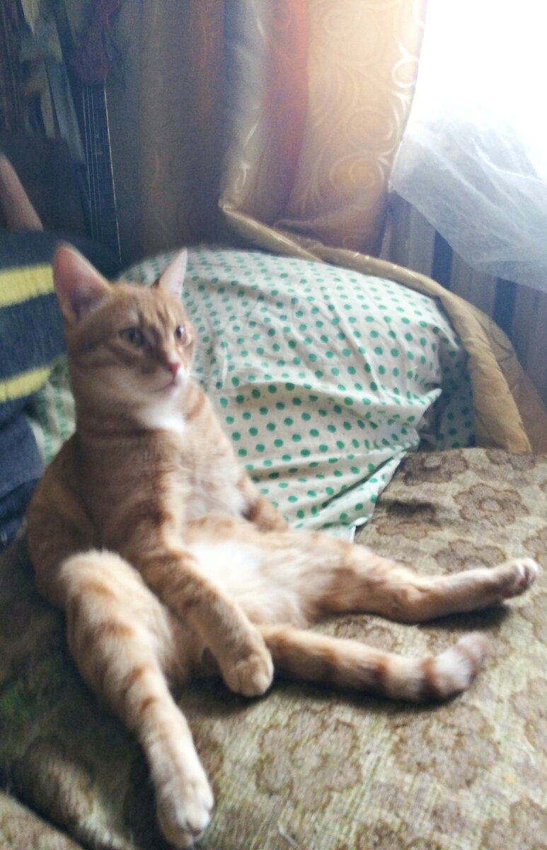 Личное   фото.  