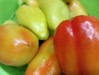 Фотография из личного архива автора