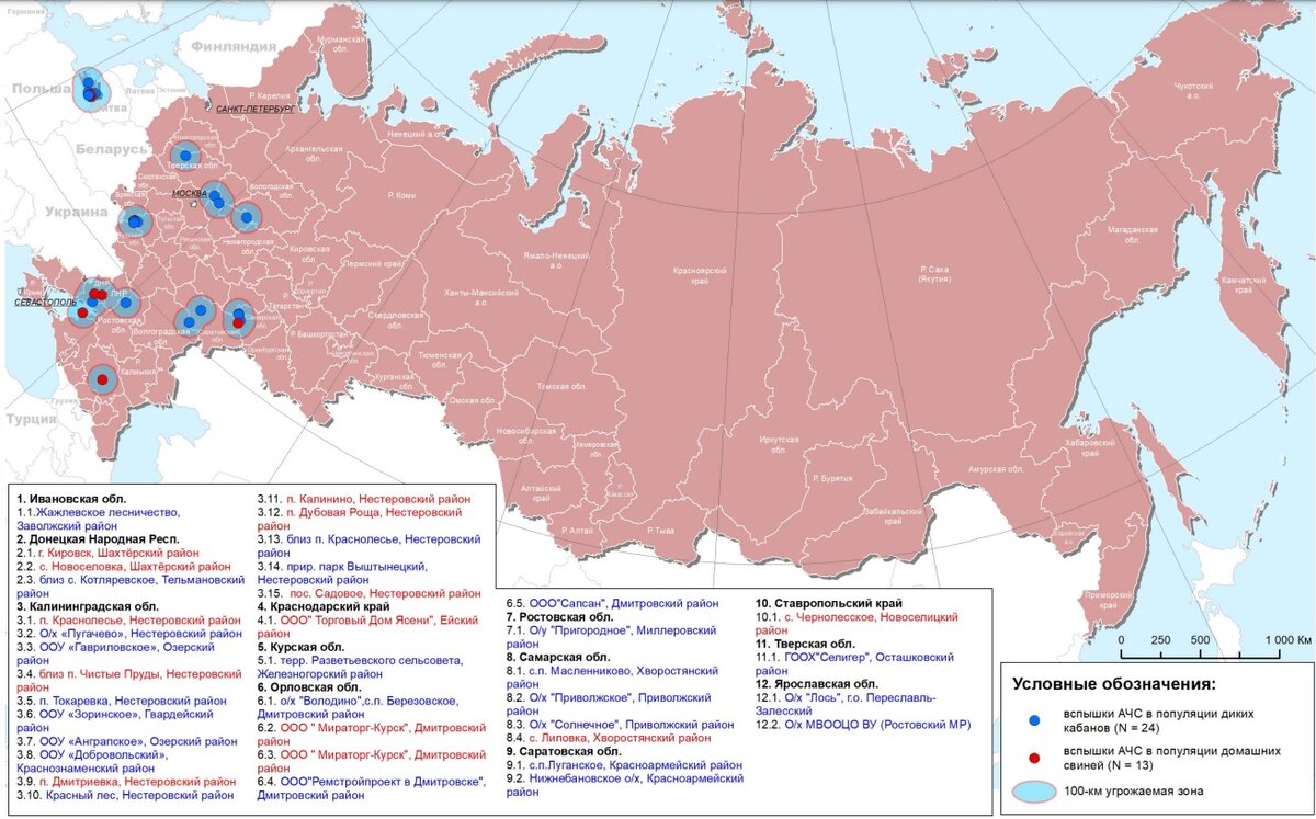 Россия произвела рекордные 16 млн тонн мяса. Рассказываю, что нужно знать  об этом | ГАВРИЛЕНКО АГРОПРОМ | Дзен