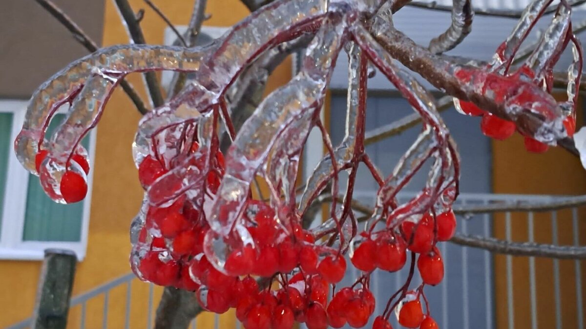     Сильные осадки ожидаются в Нижегородской области в эту пятницу, 27 января. Об этом заявил научный руководитель федерального Гидрометцентра Роман Вильфанд, пишет ТАСС.