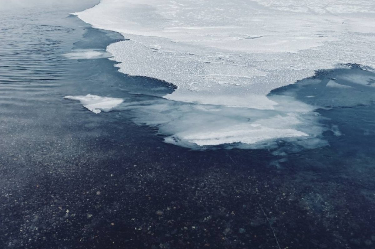    Воронежская область попала в зону риска подтоплений из-за оттепели