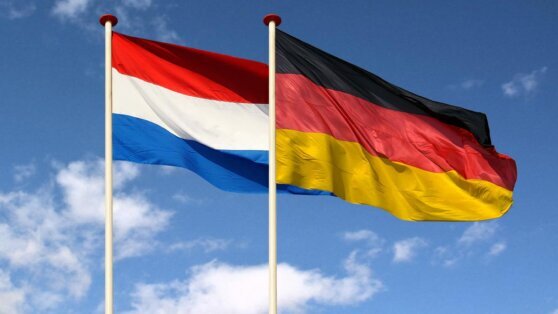    Германия и Нидерланды могут объединить свои сухопутные силы Анна Оленькова