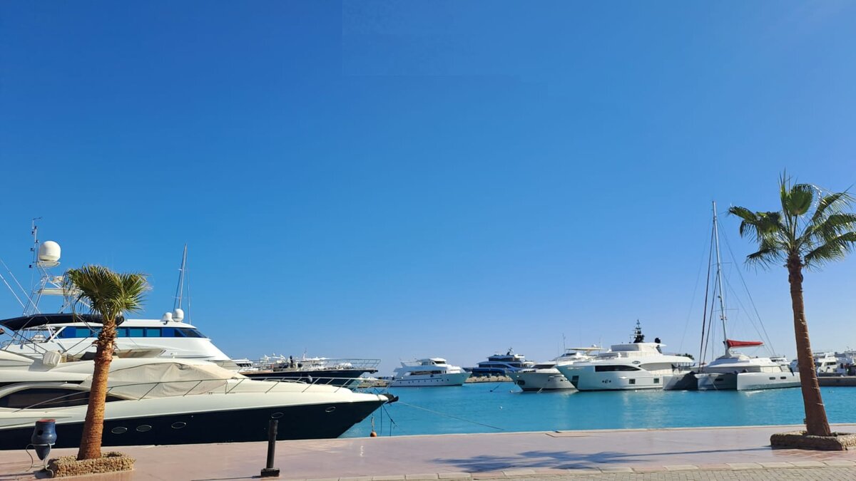 Моё фото для Дзен.