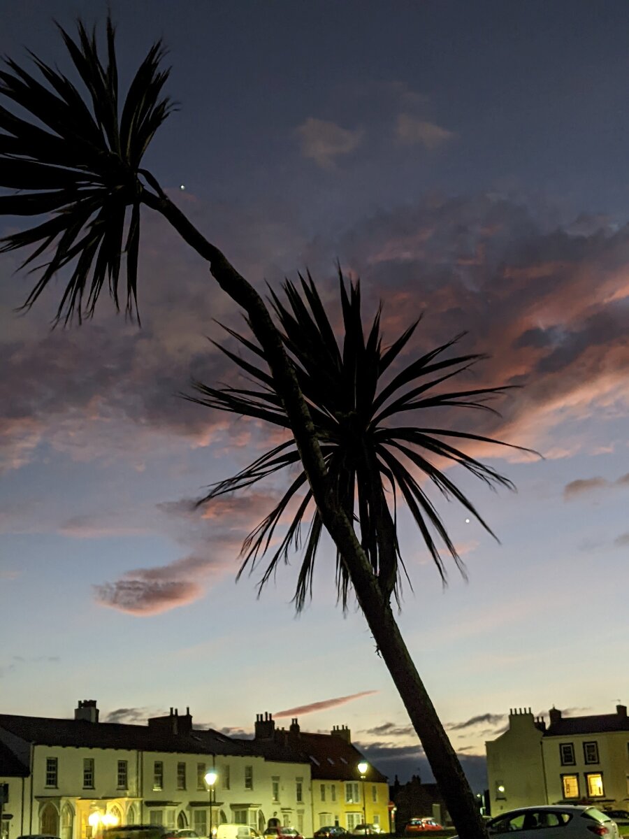 Юпитер и Венера в Дареме Великобритания 11 февраля 2023 года, фото Кивана Хаббарда 