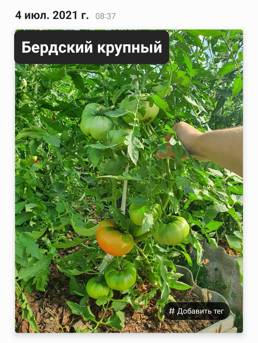 Фото из личного архива.