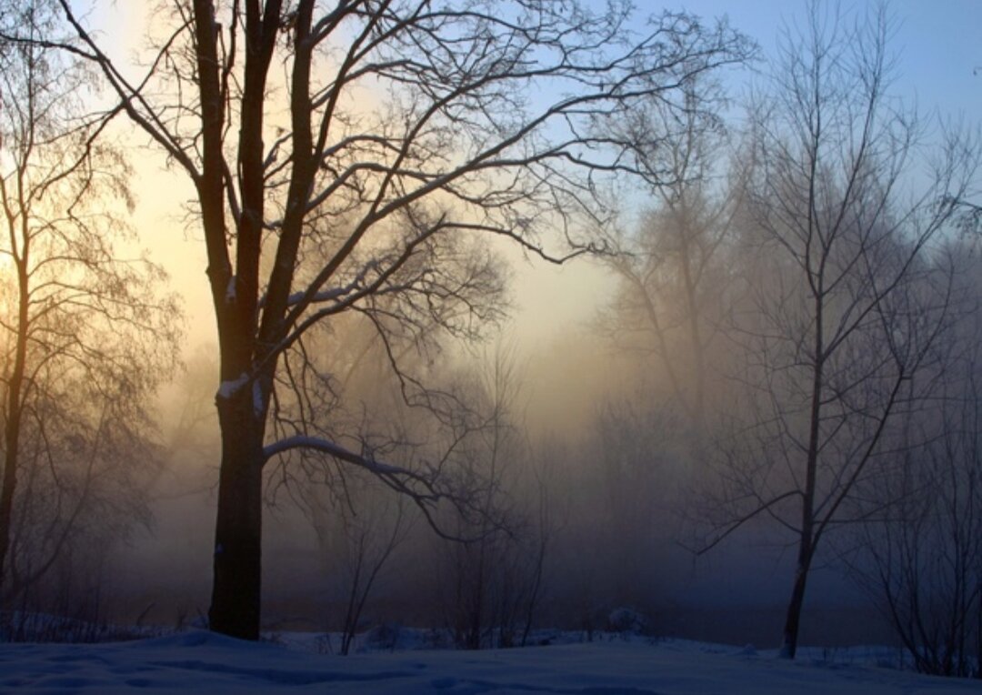 Фотография Елены Маракулиной. Любоваться красотой, которой делится Елена, можно здесь: